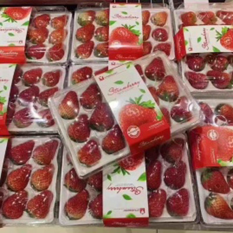 徐州商品批发选购指南：如何找到心仪的批发商？